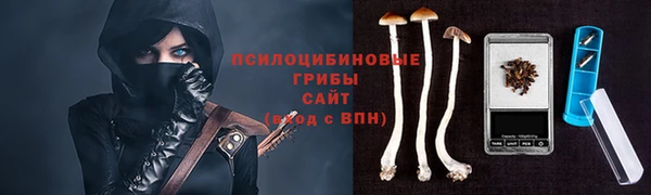 бошки Нефтекумск