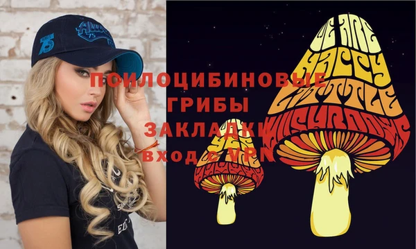 apvp Нефтегорск