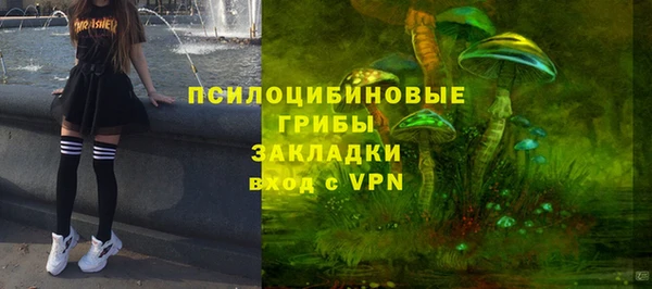 apvp Нефтегорск