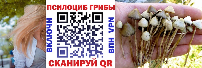 Галлюциногенные грибы мицелий  Сухиничи 